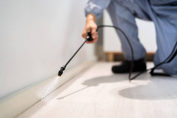 Licensed Termite Control service in Melvindale, MI - Nex Pest Control