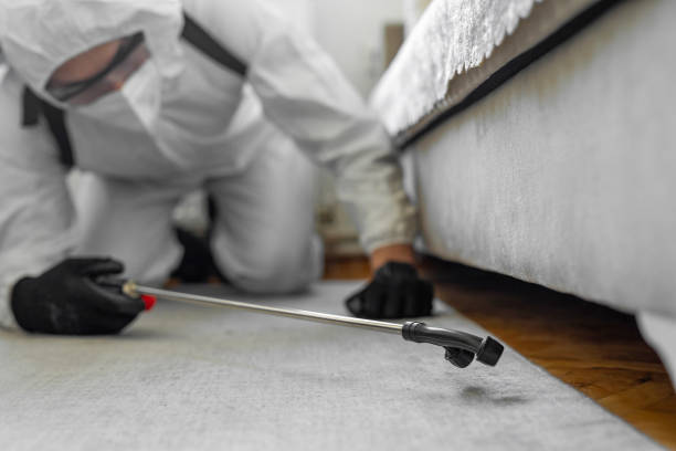 Professional Termite Control technician working in Melvindale, MI