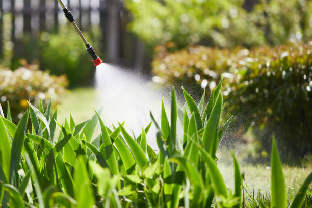 24/7 Emergency Termite Control experts in Melvindale, MI